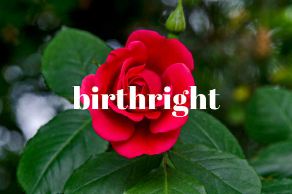 Mothers Day Roses<br />May 9-10