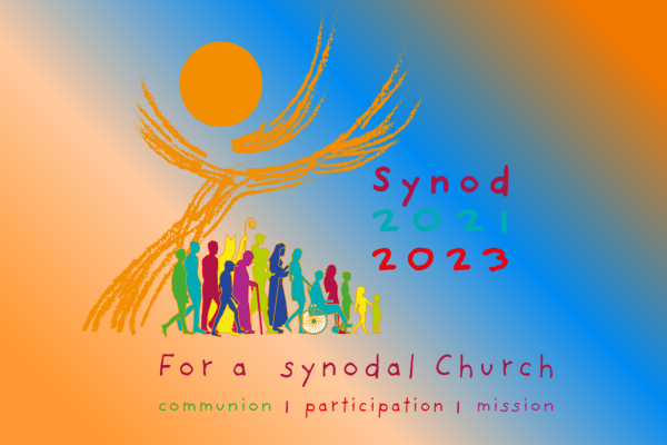 Synod Process <br>Presentation Available