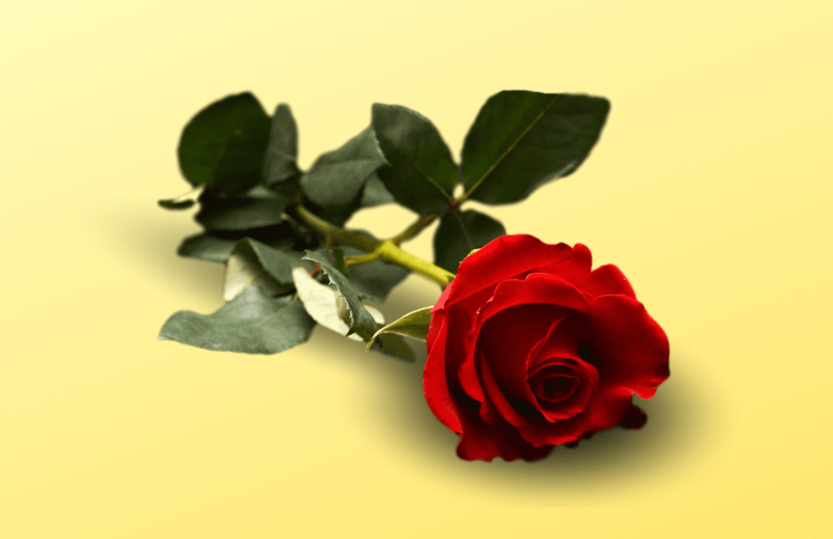 Parish of St. Ann Bethany Beach, DE